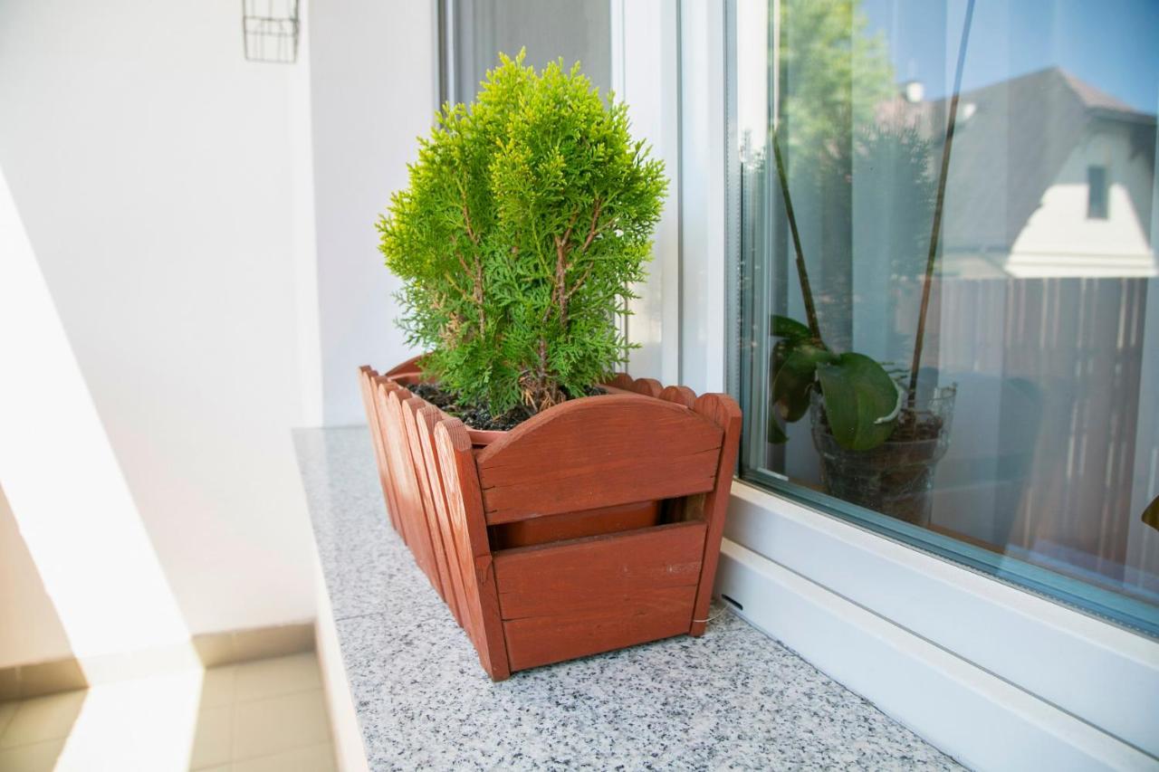 Best Apartment ทาร์นูฟ ภายนอก รูปภาพ